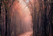 竞技宝：[NBA]默里单打霍姆格伦 干拔中距离得手.