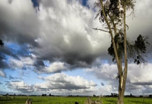 海港旧将巴尔加斯双响助哈萨征服取胜，加盟后11场2球3助.