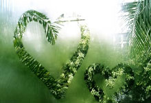 竞技宝:中国足协征集U23亚预赛承办赛区,比赛今年9月进行.